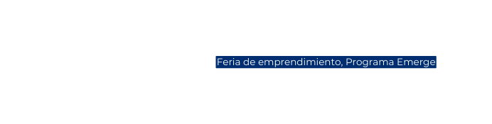 Feria de emprendimiento Programa Emerge