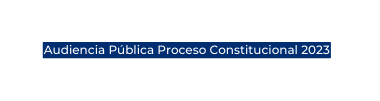 Audiencia Pública Proceso Constitucional 2023