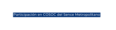 Participación en COSOC del Sence Metropolitano